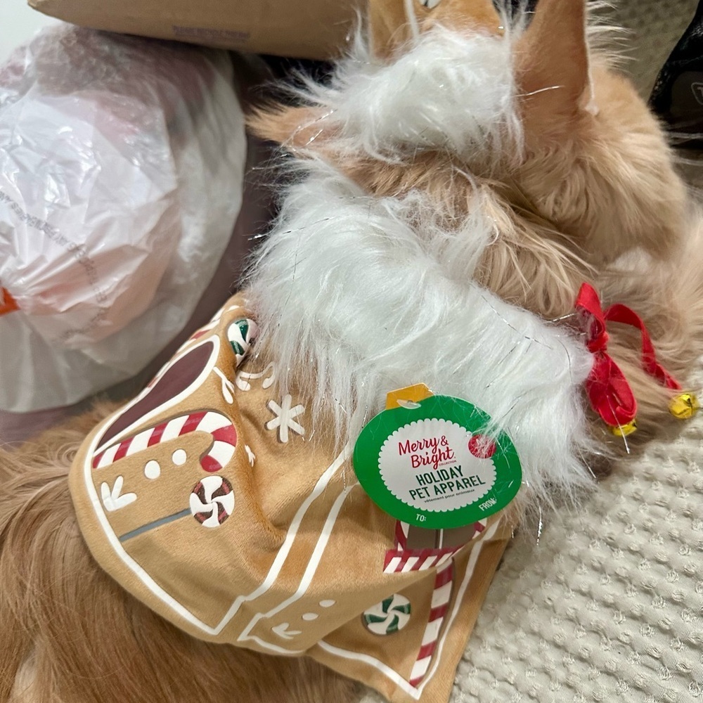 Merry & Bright Gingerbread House Pet Cape & Hat Set – Size M/L – New with Tags - Picture 14 of 15